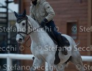 Berlin Tosc Tour2013- S5 1832 : Arezzo, Berlin, Cavalli d'Italia, Toscana Tour 2013, foto di Stefano Secchi ©